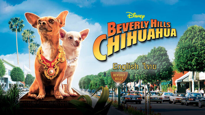 Poster of Những Chú Chó Chihuahua