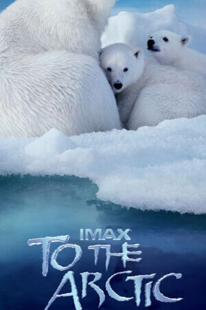 Xem phim Hành Trình Đến Bắc Cực  - To the Arctic (2012)