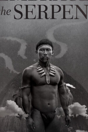 Xem phim Cái Ôm của Xà Nhân  - Embrace of the Serpent (2015)