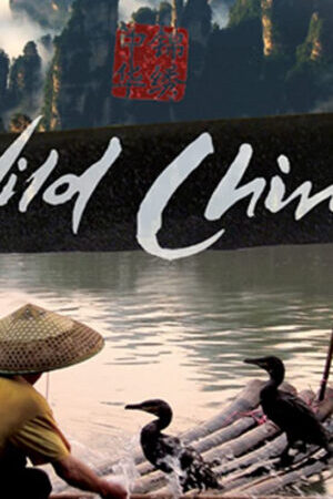 Xem phim Thiên Nhiên Hoang Dã Trung Quốc  - Wild China (2008)