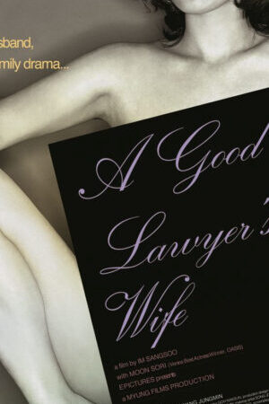 Xem phim Những đam mê của cô vợ luật sư  - A Good Lawyers Wife (2003)