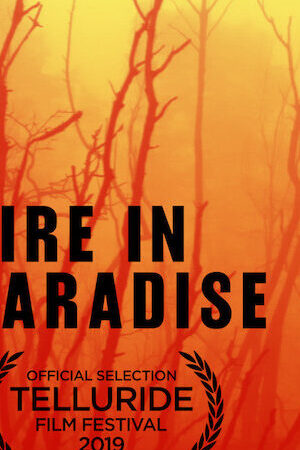 Xem phim Hỏa hoạn tại Paradise  - Fire in Paradise (2019)