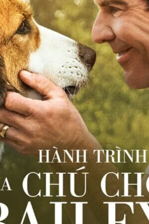 Xem phim Hành Trình Của Chú Chó Bailey  - A Dogs Journey (2019)