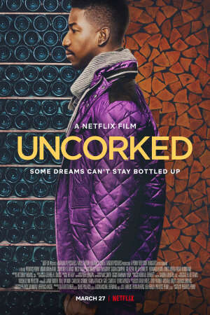 Xem phim Ngọt Đắng Giọt Vang  - Uncorked (2020)