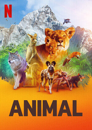 Xem phim Động vật ( 1)  - Animal (Season 1) (2021)