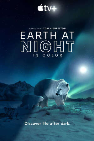 Xem phim Màn đêm trên Trái Đất  - Night on Earth (2019)