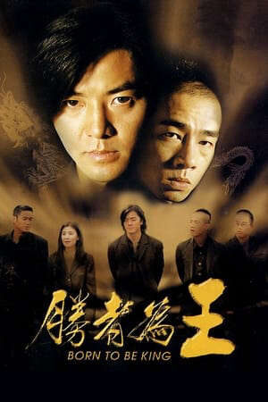 Xem phim Người Trong Giang Hồ 6 Kẻ Thắng Làm Vua  - Young And Dangerous 6 Born To Be King (2000)